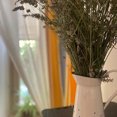 Corte L'ovo - 15 Minutes From The Heart Of Verona فيلة